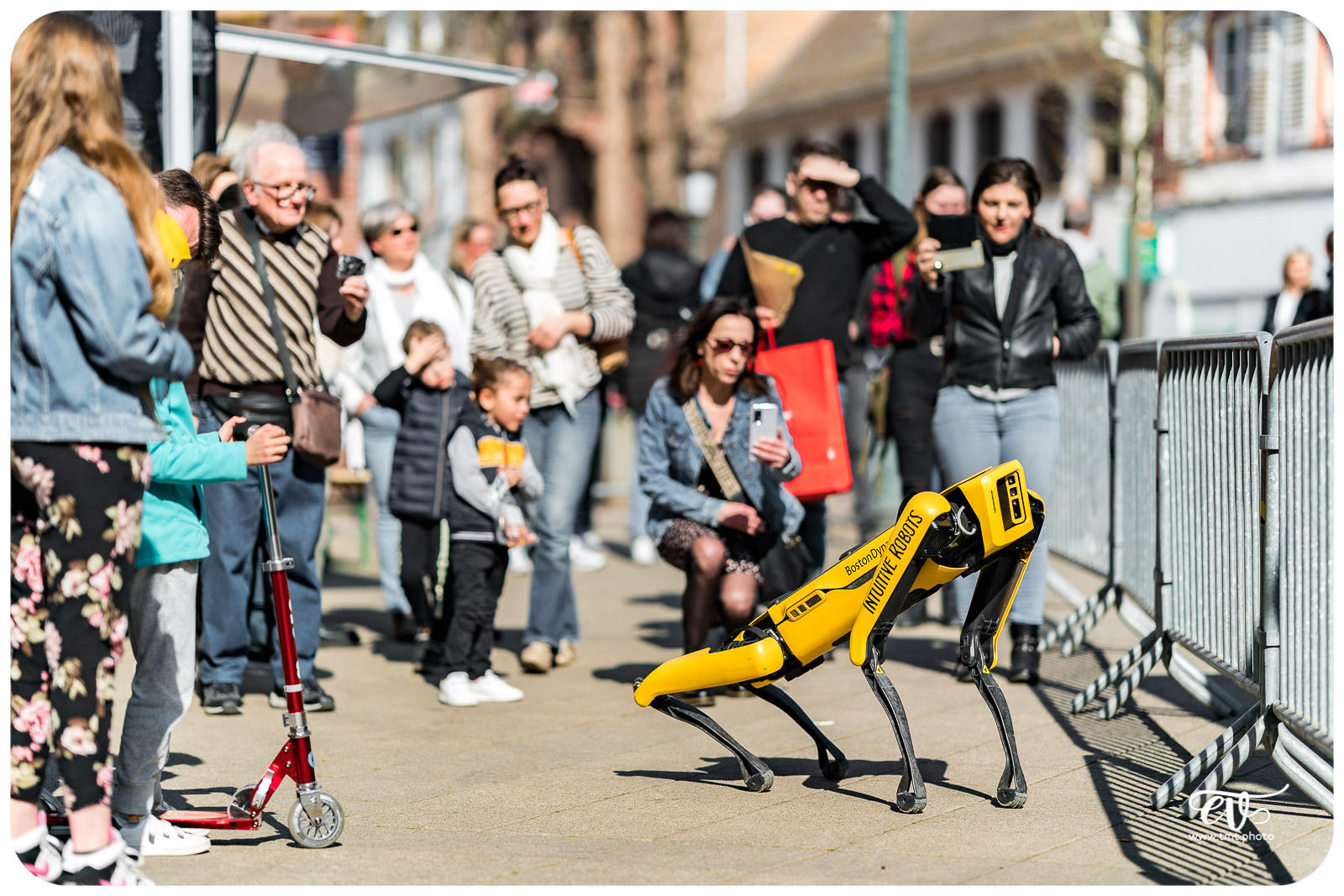 SPOT (BOSTON DYNAMICS)